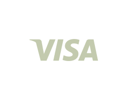 Visa Logo